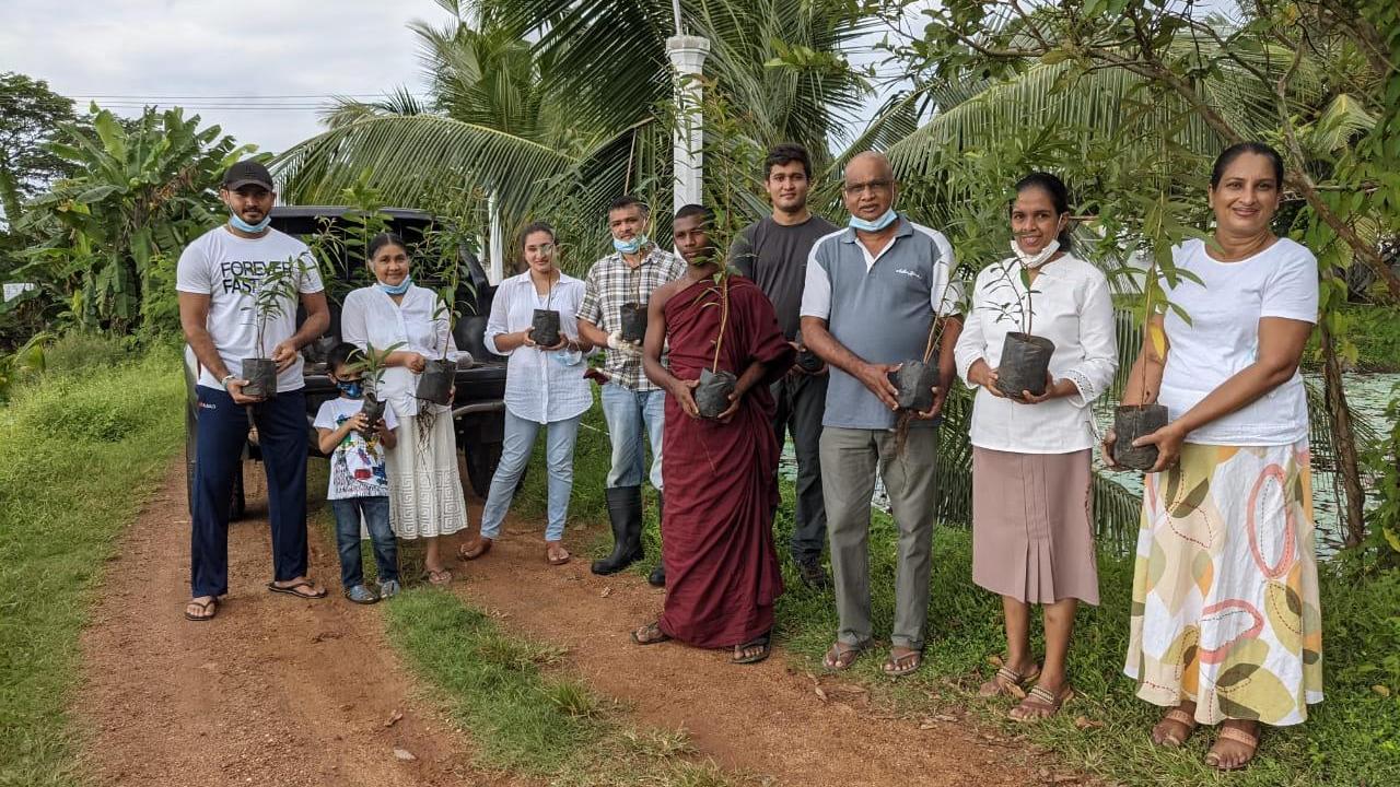 Aitken Spence Power successfully plants over 11,000 saplings