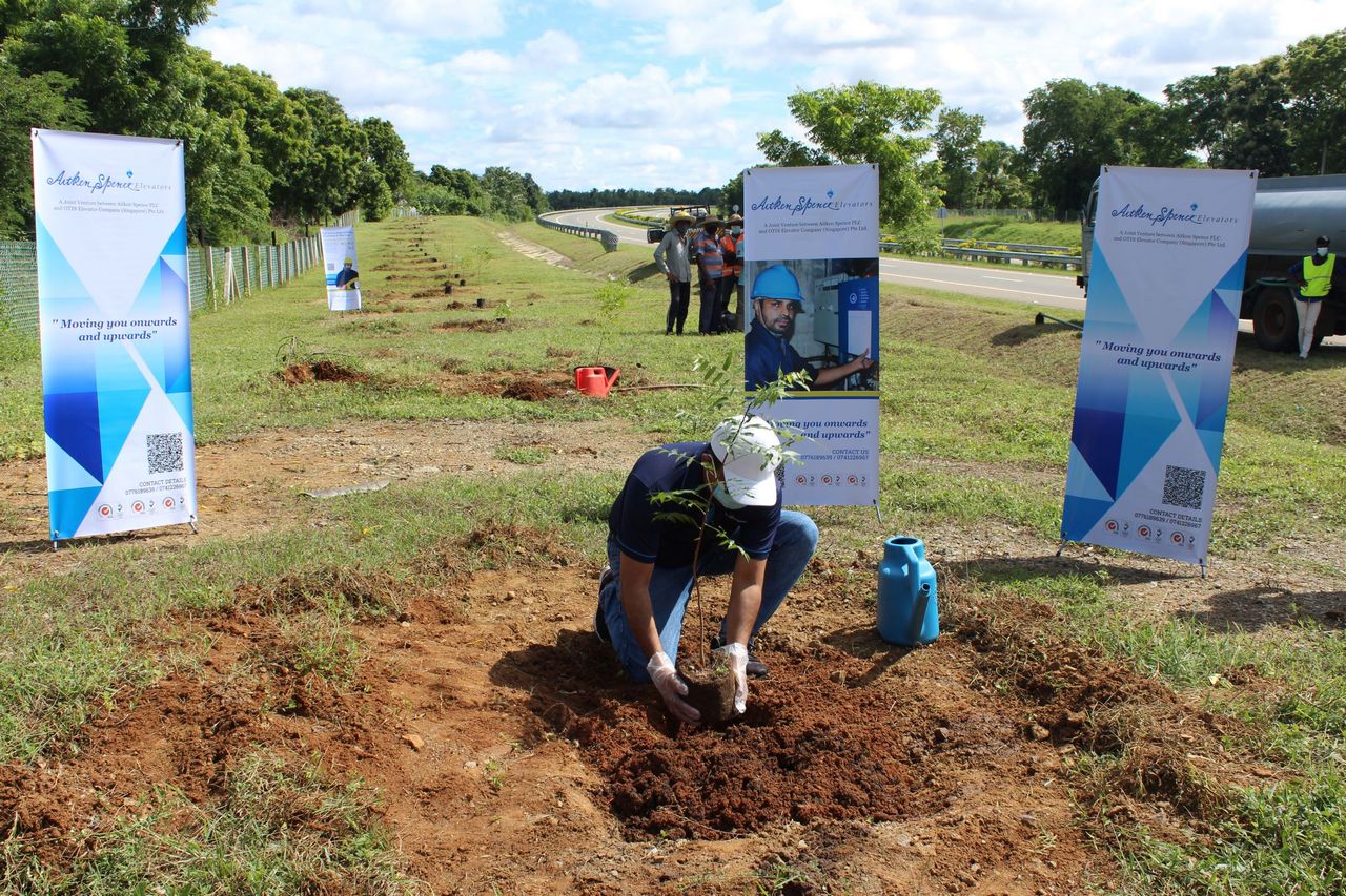 Tree Planting Campaign 1